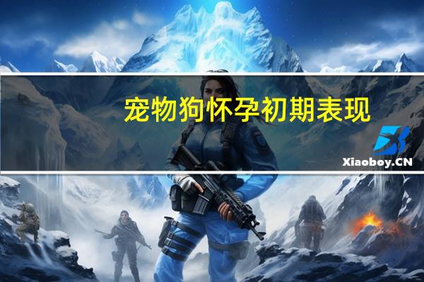 宠物狗怀孕初期表现