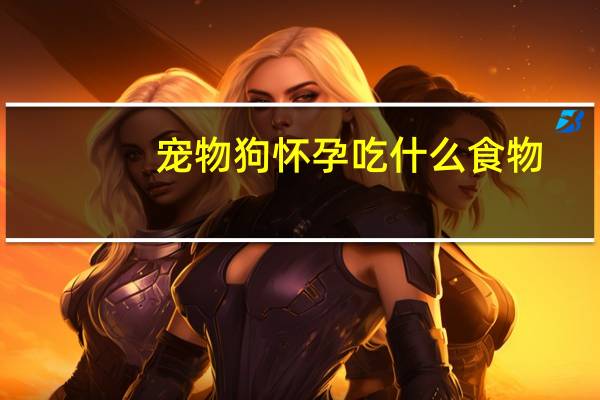 宠物狗怀孕吃什么食物