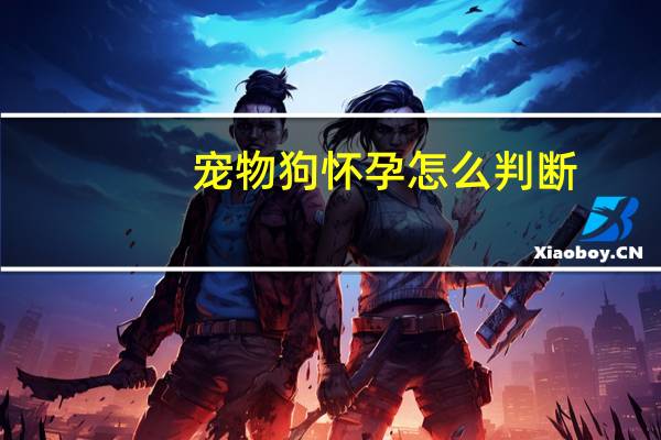 宠物狗怀孕怎么判断