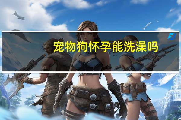 宠物狗怀孕能洗澡吗