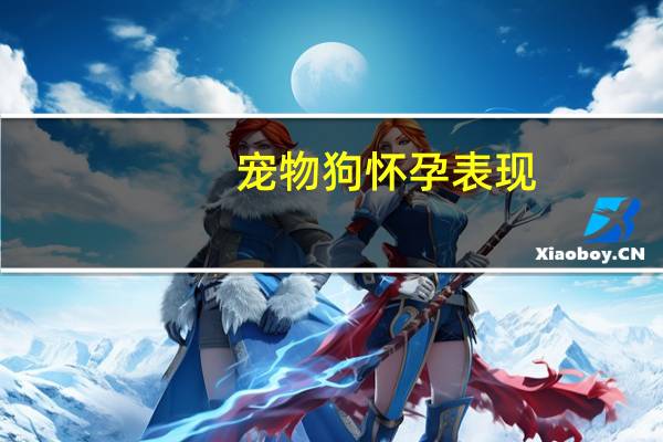 宠物狗怀孕表现