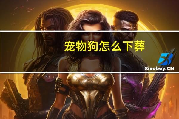 宠物狗怎么下葬