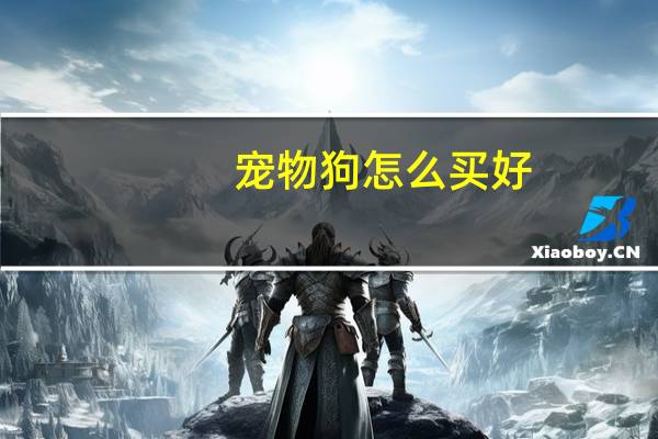 宠物狗怎么买好