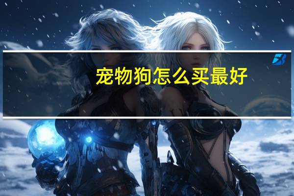 宠物狗怎么买最好