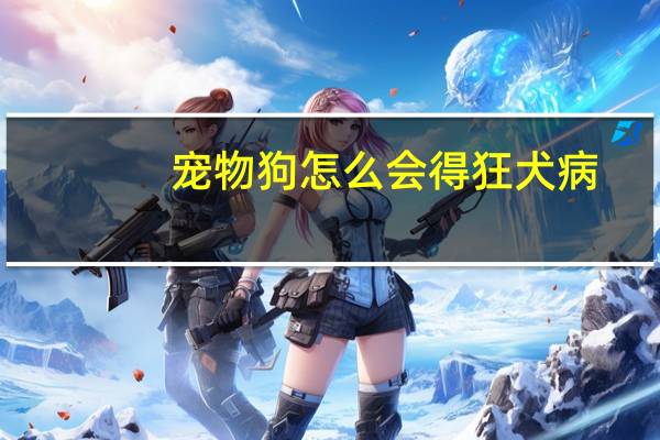 宠物狗怎么会得狂犬病