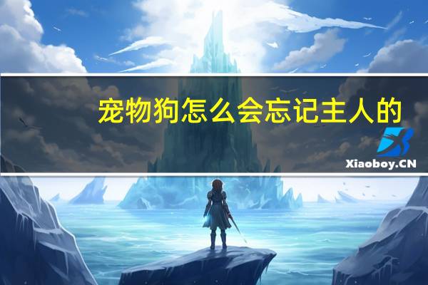 宠物狗怎么会忘记主人的