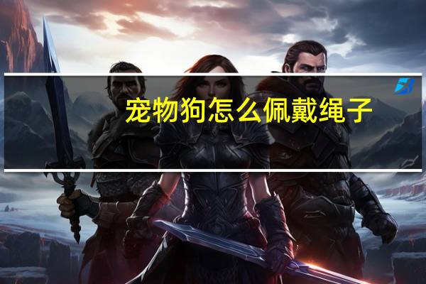 宠物狗怎么佩戴绳子