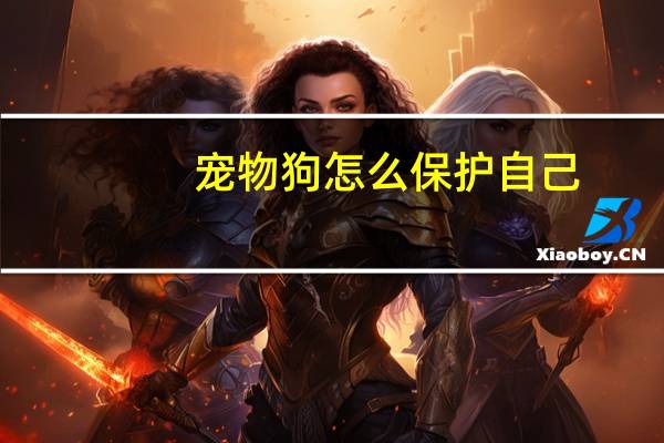 宠物狗怎么保护自己