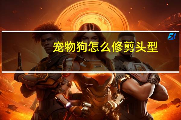 宠物狗怎么修剪头型