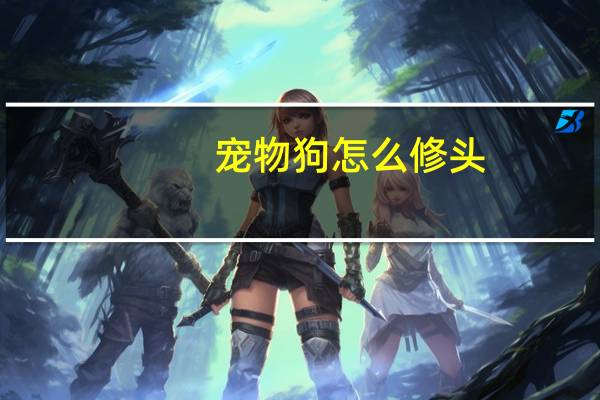 宠物狗怎么修头