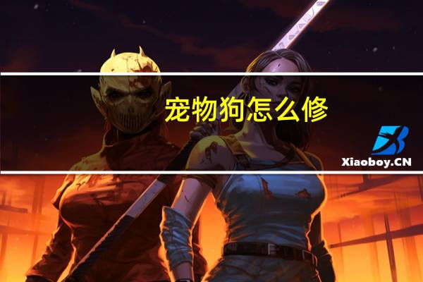 宠物狗怎么修