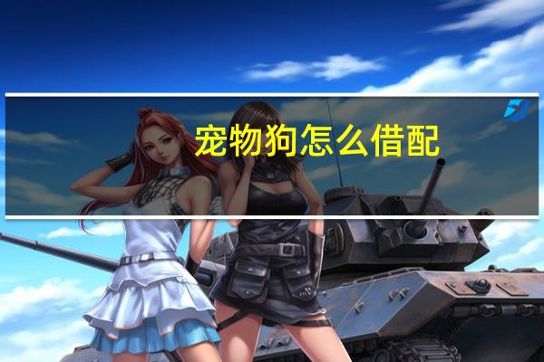 宠物狗怎么借配