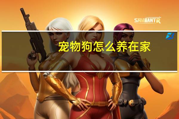 宠物狗怎么养在家