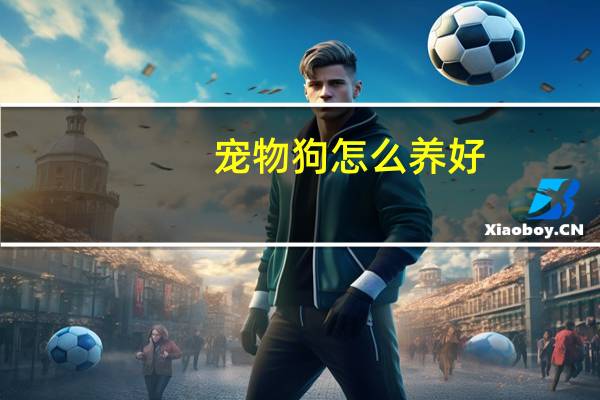 宠物狗怎么养好