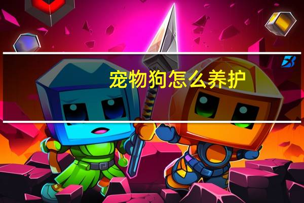 宠物狗怎么养护
