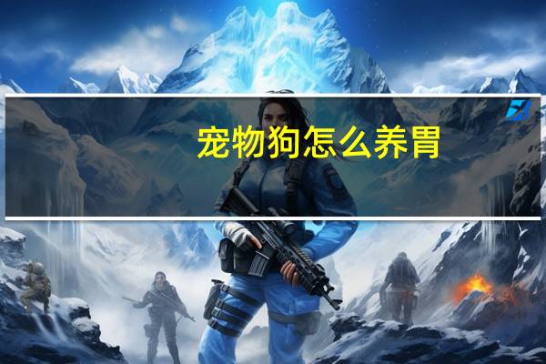 宠物狗怎么养胃