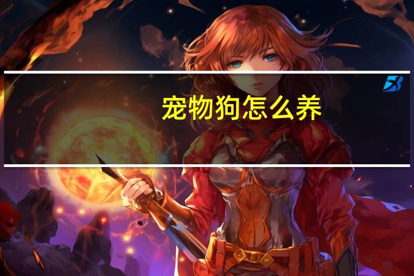 宠物狗怎么养