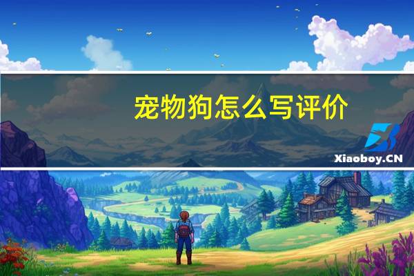 宠物狗怎么写评价