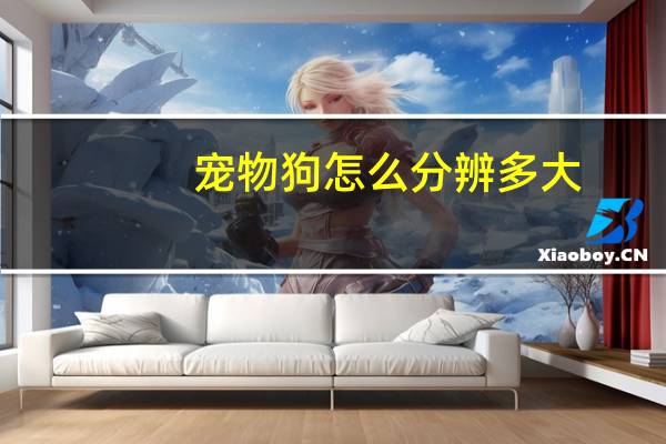 宠物狗怎么分辨多大