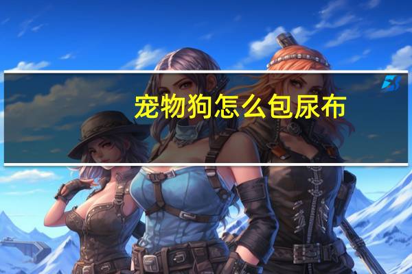 宠物狗怎么包尿布