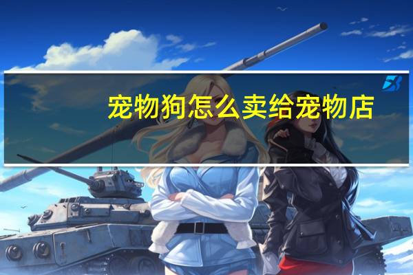 宠物狗怎么卖给宠物店