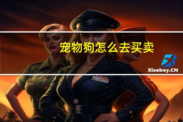 宠物狗怎么去买卖