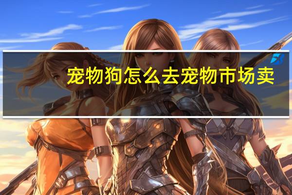 宠物狗怎么去宠物市场卖