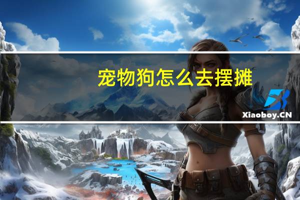 宠物狗怎么去摆摊