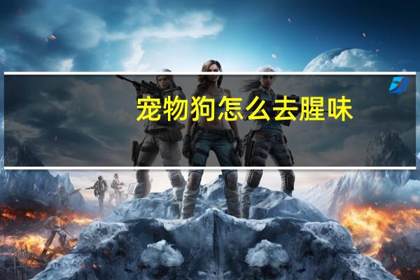 宠物狗怎么去腥味