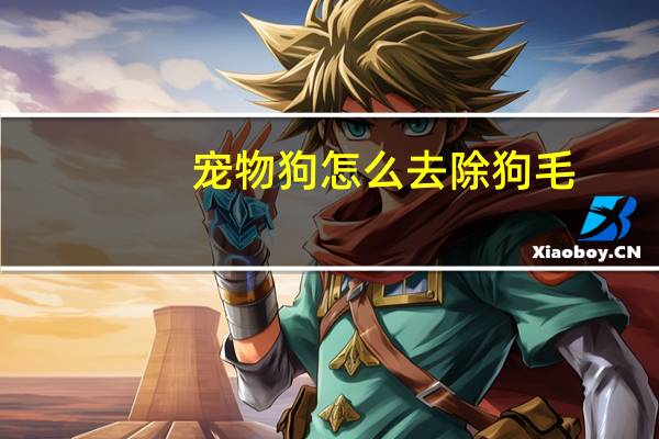 宠物狗怎么去除狗毛