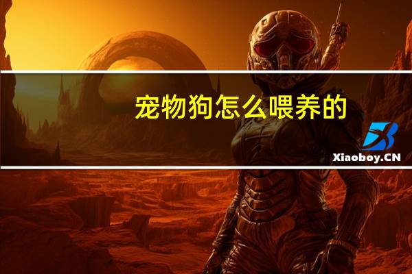 宠物狗怎么喂养的