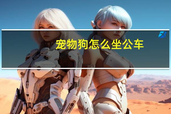 宠物狗怎么坐公车