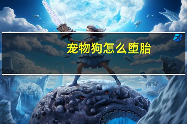 宠物狗怎么堕胎