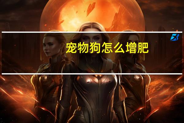 宠物狗怎么增肥