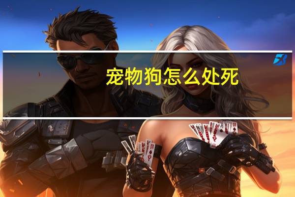 宠物狗怎么处死