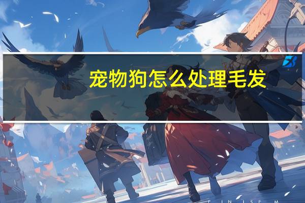 宠物狗怎么处理毛发