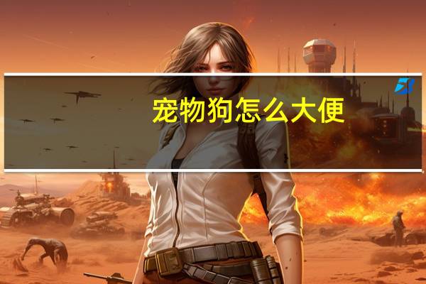 宠物狗怎么大便