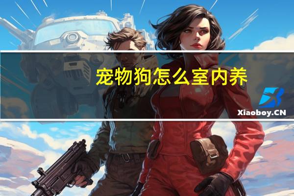 宠物狗怎么室内养