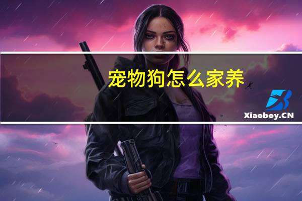 宠物狗怎么家养