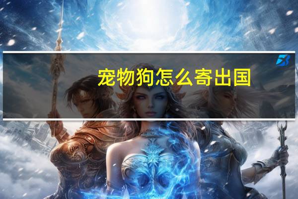 宠物狗怎么寄出国