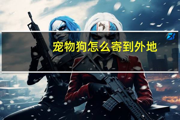 宠物狗怎么寄到外地