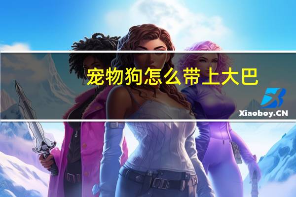 宠物狗怎么带上大巴