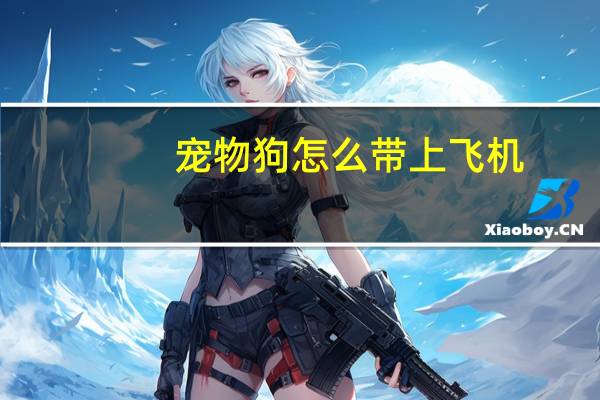 宠物狗怎么带上飞机