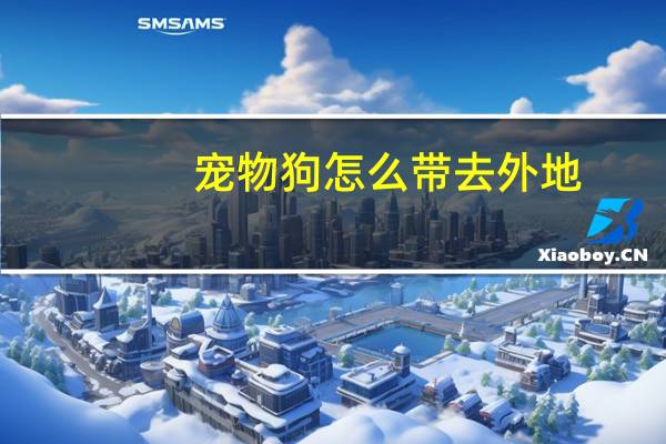 宠物狗怎么带去外地