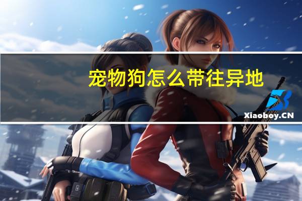 宠物狗怎么带往异地