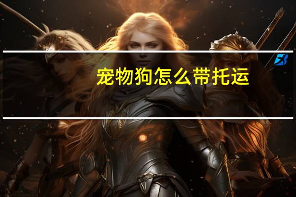 宠物狗怎么带托运