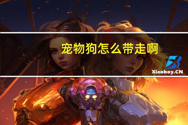 宠物狗怎么带走啊