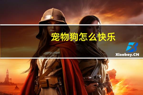 宠物狗怎么快乐
