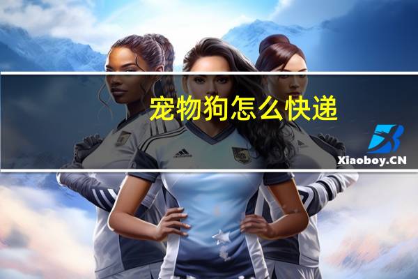 宠物狗怎么快递