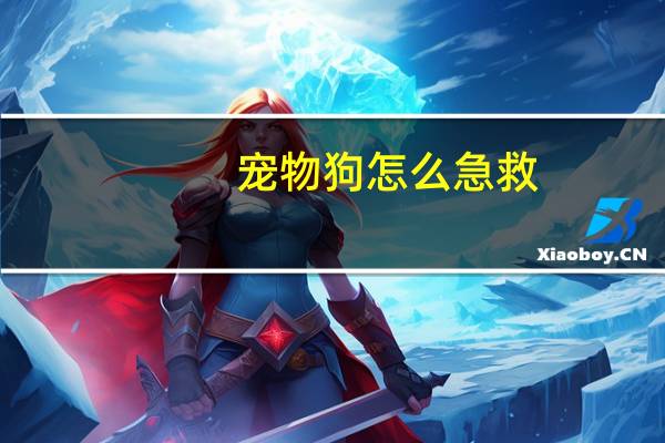 宠物狗怎么急救